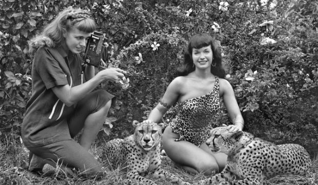 pinup