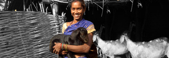 Rural Development Programmes in Odisha